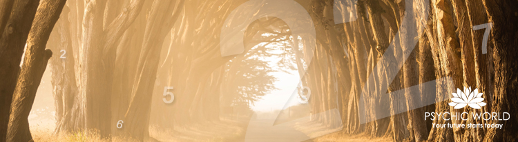 Free life path number calculator!
