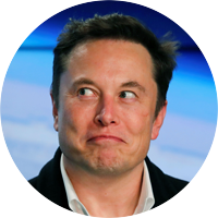 Elon Musk was born on June 28, 1971. That means that he is a focused Cancer Sun with an analytical Virgo Moon